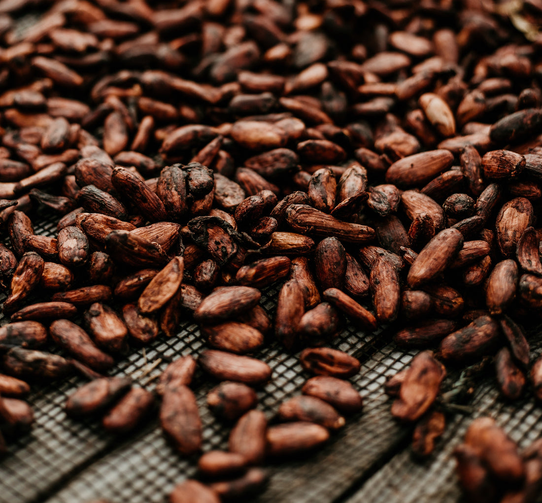 A True Superfood: 7 Health Benefits of Cacao