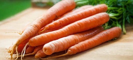 Seasonal Produce Guide for November